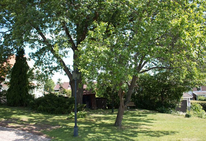 Katrinelunds Bed & Breakfast Vasteras Exterior foto